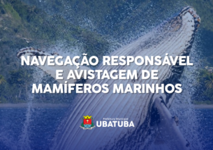 avistagem-de-mamiferos-destaque-770x416.png
