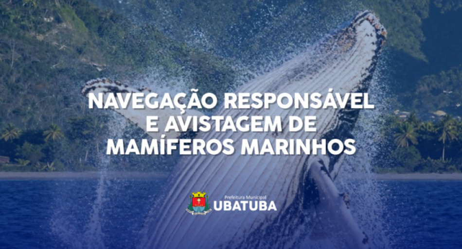 avistagem-de-mamiferos-destaque-770x416.png